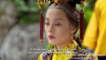 甄嬛传国产剧免费星辰在线看,宫廷权谋与情感纠葛的巅峰之作