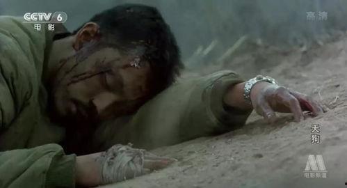 荒野题材电影国产在线观看,国产电影带你领略绝境求生传奇